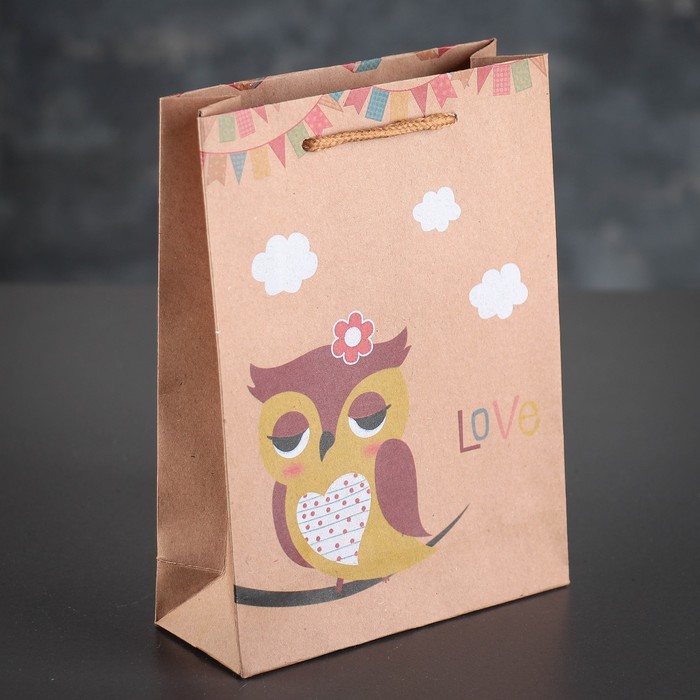 Пакет крафт "Сова", 15 х 6 х 20 см