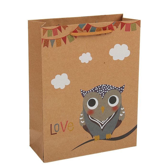 Пакет крафт "Сова", 15 х 6 х 20 см
