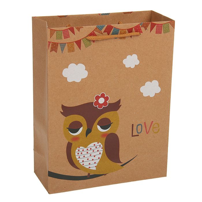 Пакет крафт "Сова", 11 х 6 х 14 см