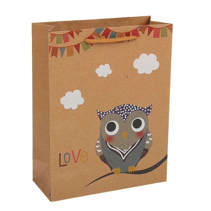 Пакет крафт "Сова", 11 х 6 х 14 см