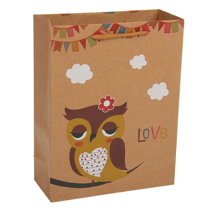 Пакет крафт "Сова", 19 х 8 х 25 см