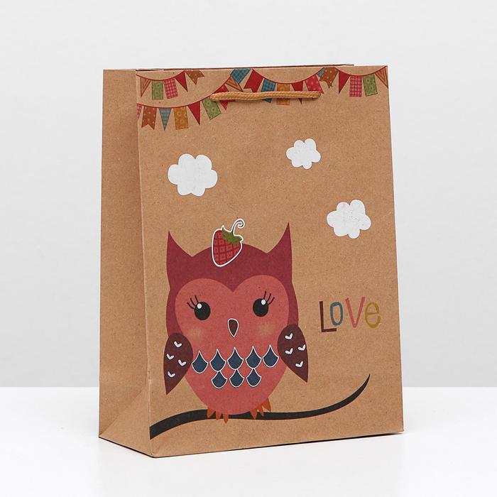 Пакет крафт "Сова с клубничкой", 19 х 8 х 25 см