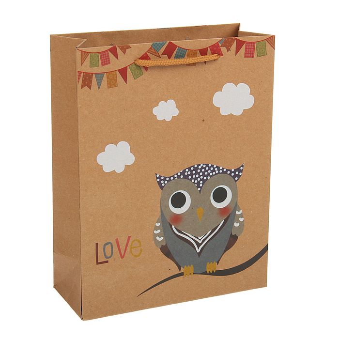Пакет крафт "Сова", 19 х 8 х 25 см