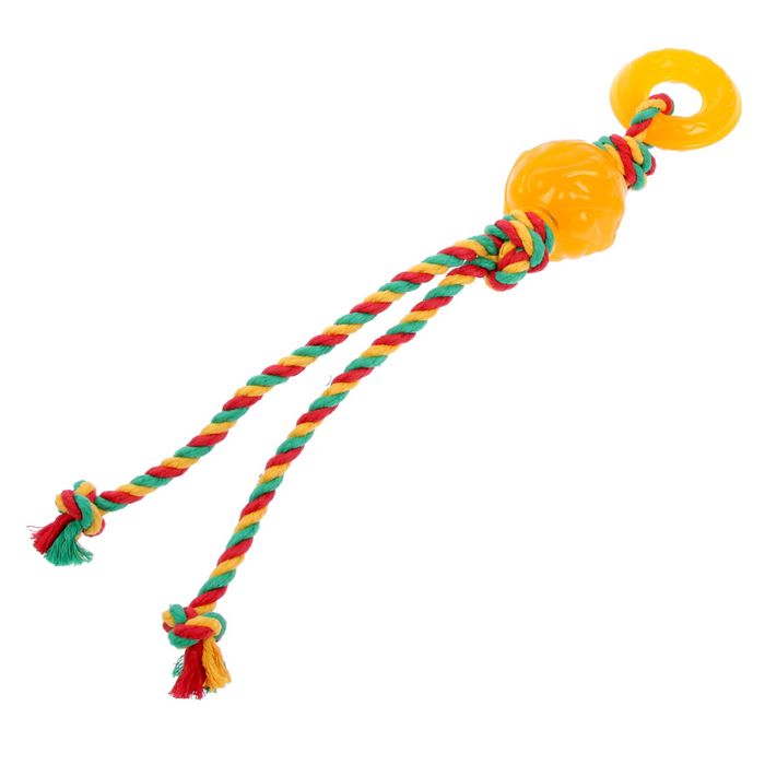 Комета "ДогЛайк" с канатом и этикеткой