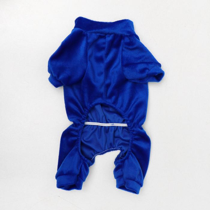 Комбинезон велюр, размер XS (ДС 19см, ОШ 22-24см, ОГ 30см) МИКС ЦВЕТОВ