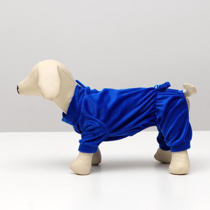 Комбинезон велюр, размер XL (ДС 32см, ОШ 30-34см, ОГ 46см) МИКС ЦВЕТОВ