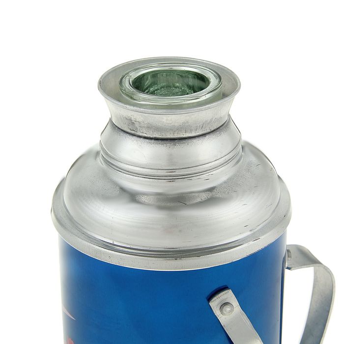 Термос 1200 мл «Цветы на дуге», с ручкой, 1 кружка, синий