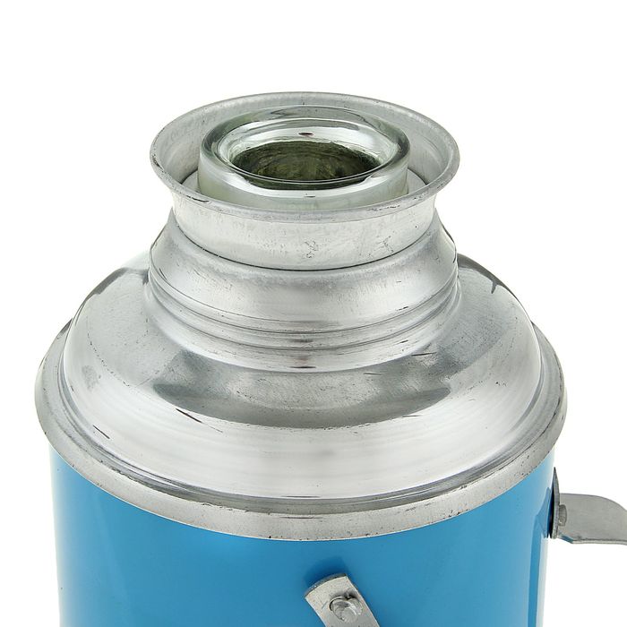 Термос 2000 мл «Нарциссы», с ручкой, 1 кружка, голубой