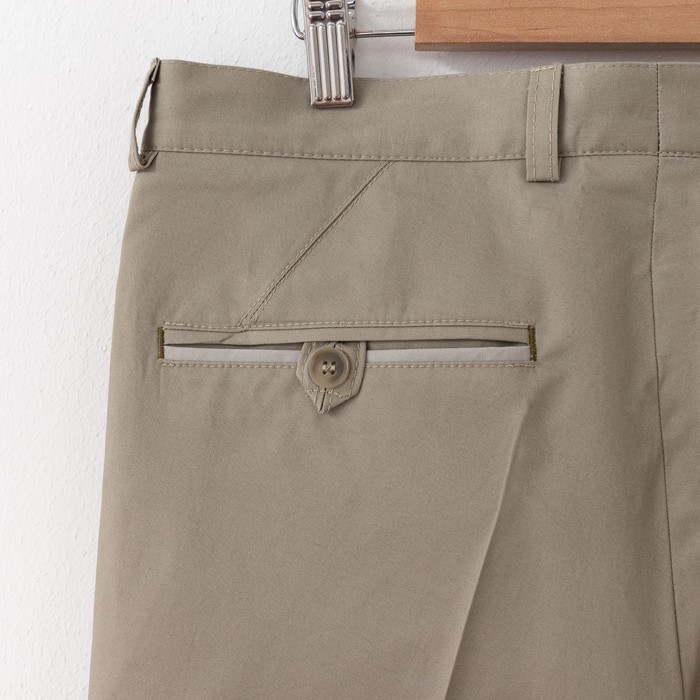 Брюки мужские Бр1267, цвет фисташка, рост 182 см, размер 50