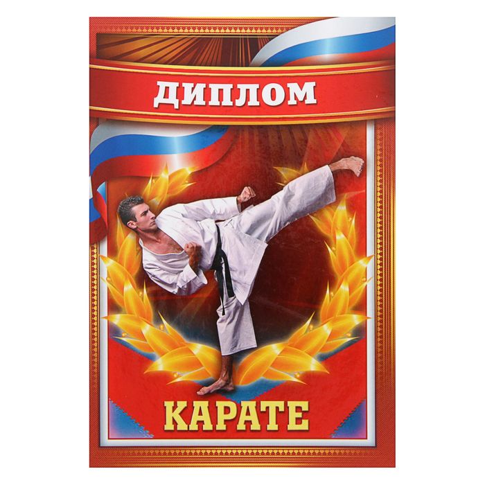 Диплом спортивный "Карате"