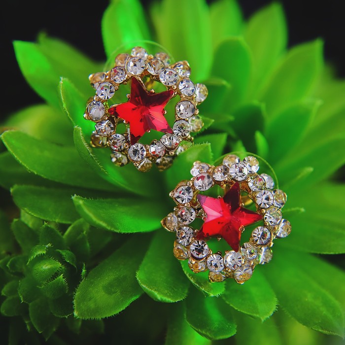 Серьги со стразами "Звезда" в рамке, цвет бордово-белый в золоте