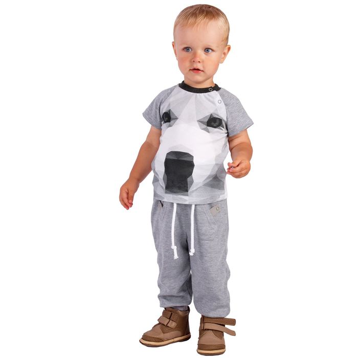 Брюки для мальчика "Зоо", рост 80 см (50), цвет серый