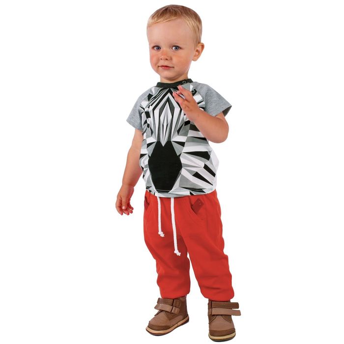 Брюки для мальчика "Зоо", рост 74 см (48), цвет красный