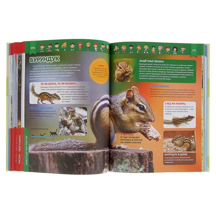 Российская детская энциклопедия.Что? Когда? Зачем? Почему?