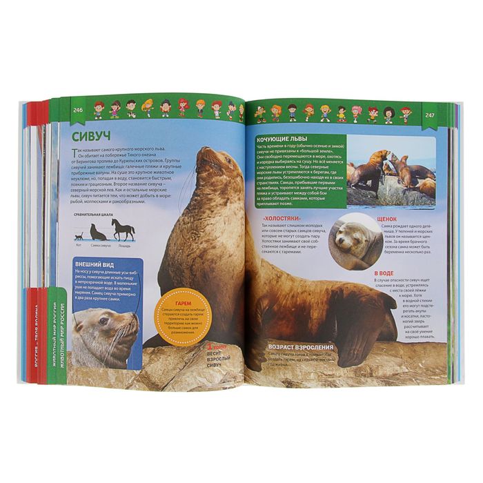 Современная российская детская энциклопедия