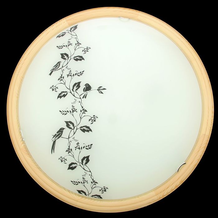 Светильник настенно-потолочный 2860/с "Птицы" глянец. D460 2хЕ27 "Сосна" инд.