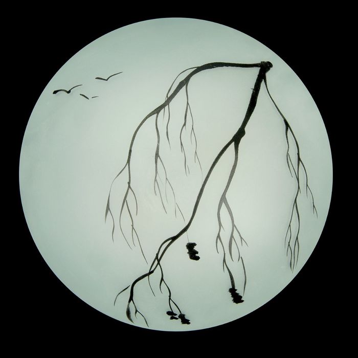 Светильник настенно-потолочный 1269 ветка D220, 2хЕ27 инд.