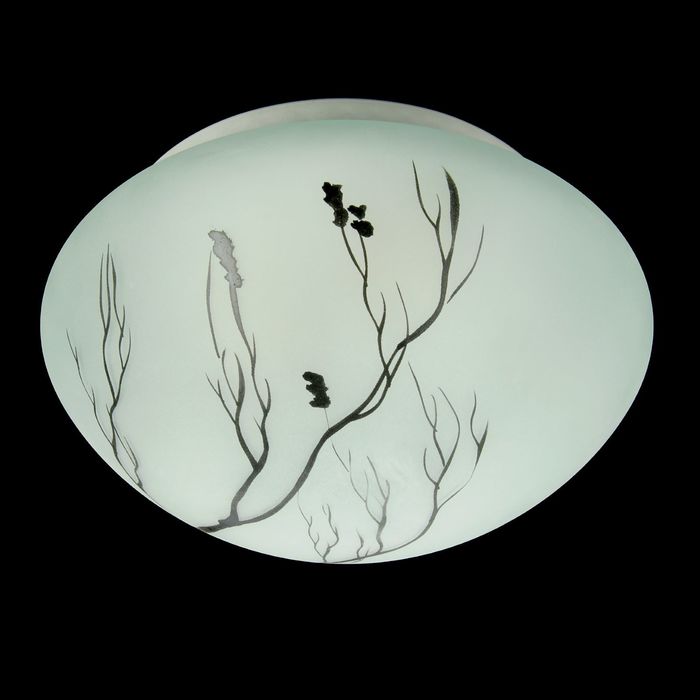 Светильник настенно-потолочный 1269 ветка D220, 2хЕ27 инд.