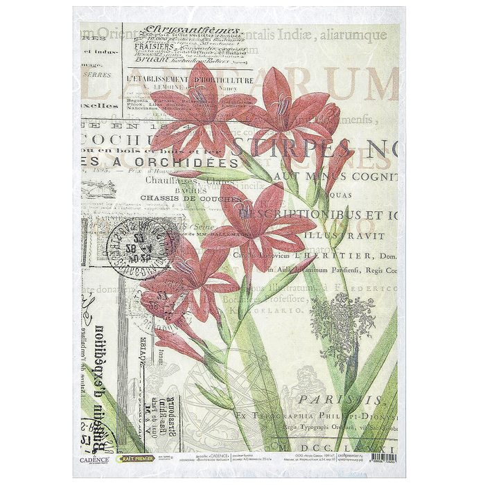 Рисовая бумага для декупажа "Винтажное письмо" формат  A3, 25г/м