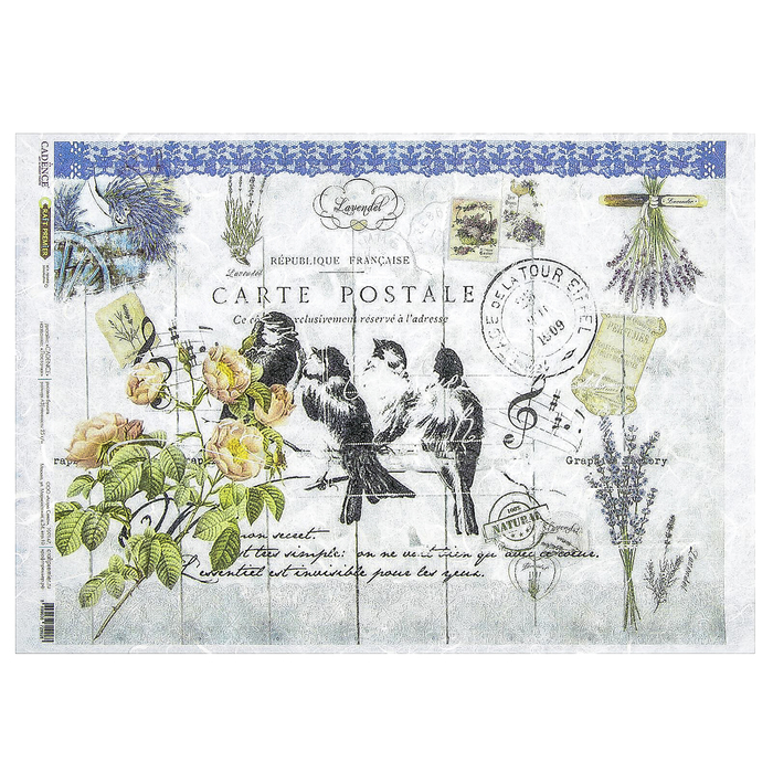 Рисовая бумага для декупажа "Ласточки" формат  A3, 25г/м