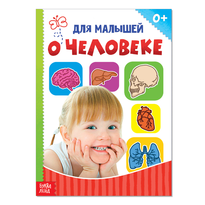 Книжка картонная "Человек"  10 стр