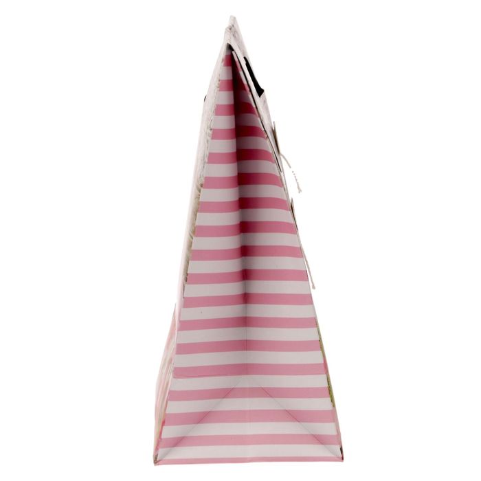 Пакет подарочный «Сюрприз внутри», 18 × 23 × 10 см