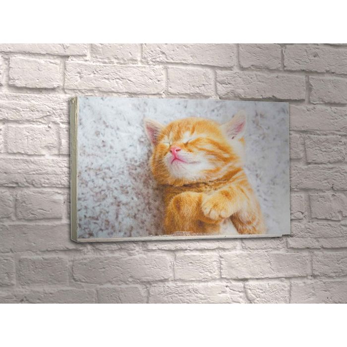 Картина "Киса"