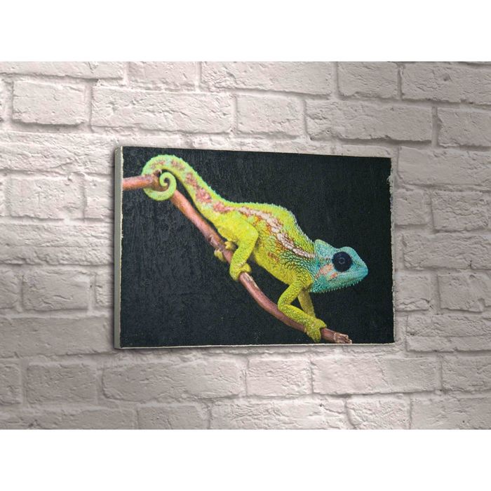 Картина "Хамелеон на ветке"