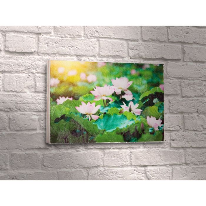 Картина "Розовые цветки лотоса"