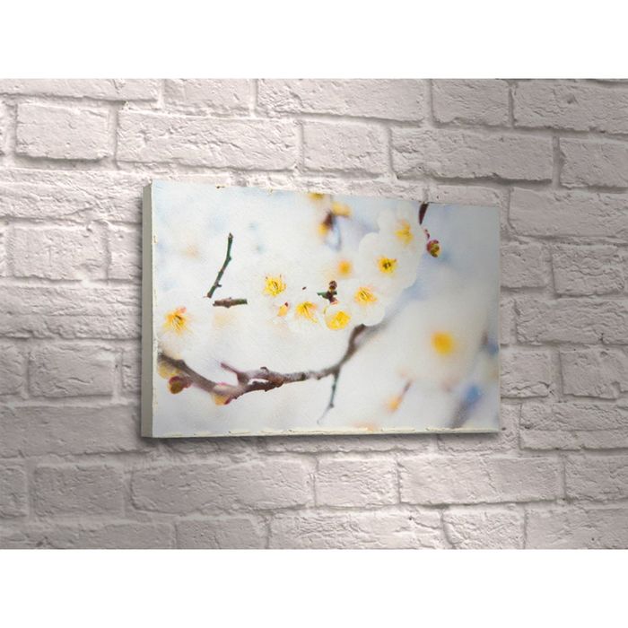 Картина "Белые цветы вишни"