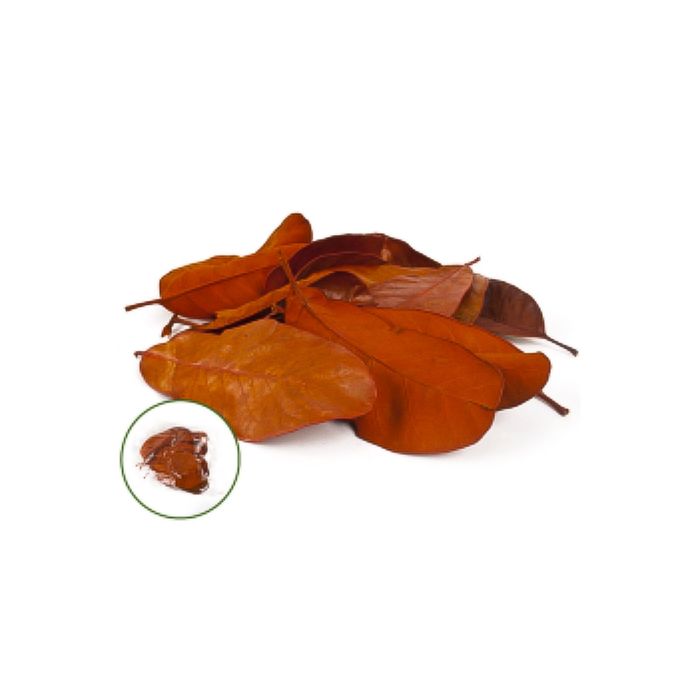 Листья мандиока большой, оранжевый 50 г