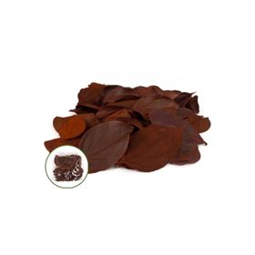 

Листья куина, оранжевый 50 г