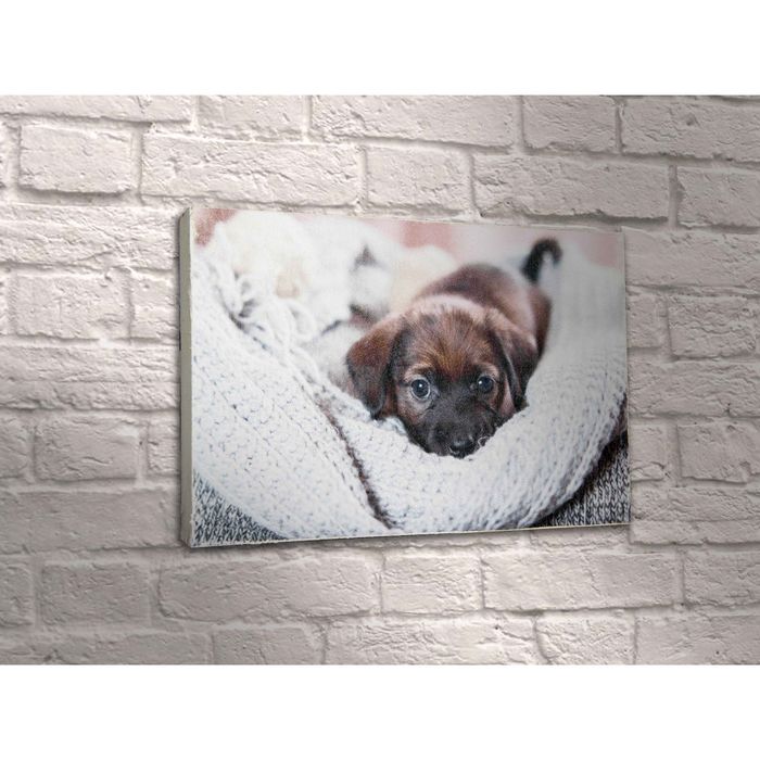 Картина "Малыш"