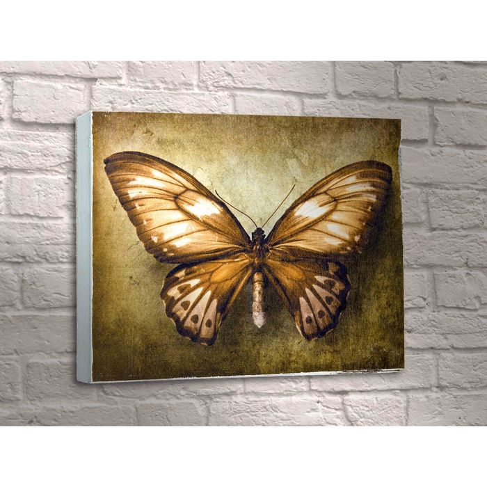 Картина "Бабочка"