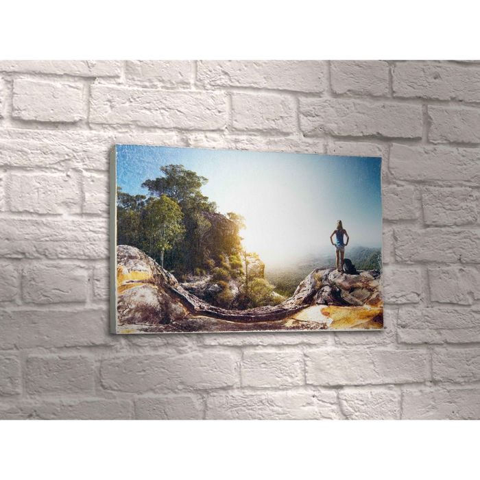 Картина "Путешественница"