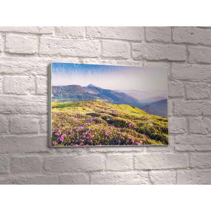 Картина "Горное поле"