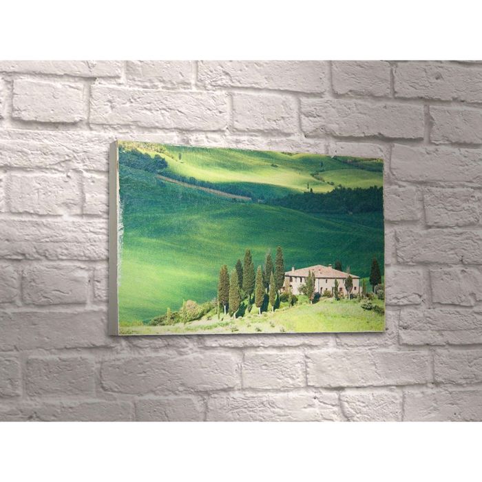 Картина "Домик на зелёном газоне"