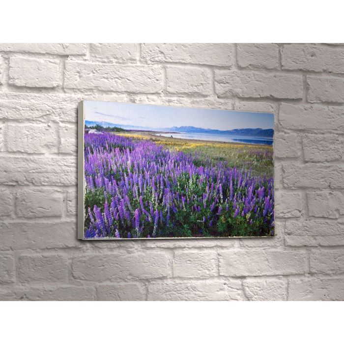 Картина "Лавандовое поле"