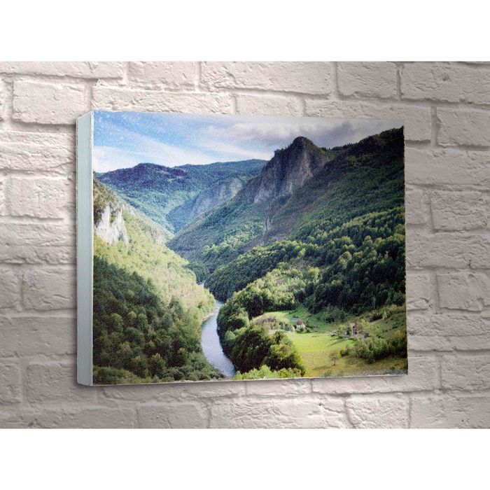 Картина "Яркий горный лес"