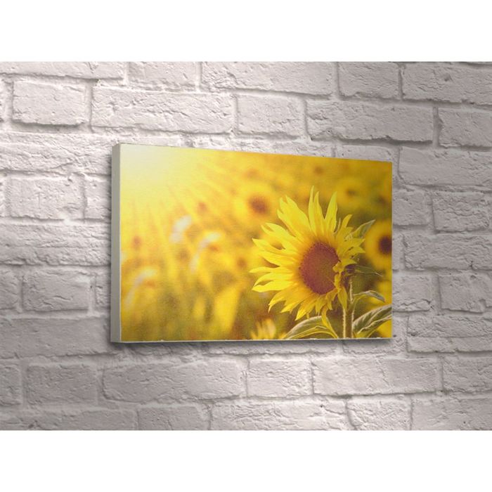 Картина "Цветок подсолнуха в солнечных лучах"