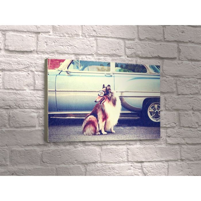 Картина "Красивый пёс"