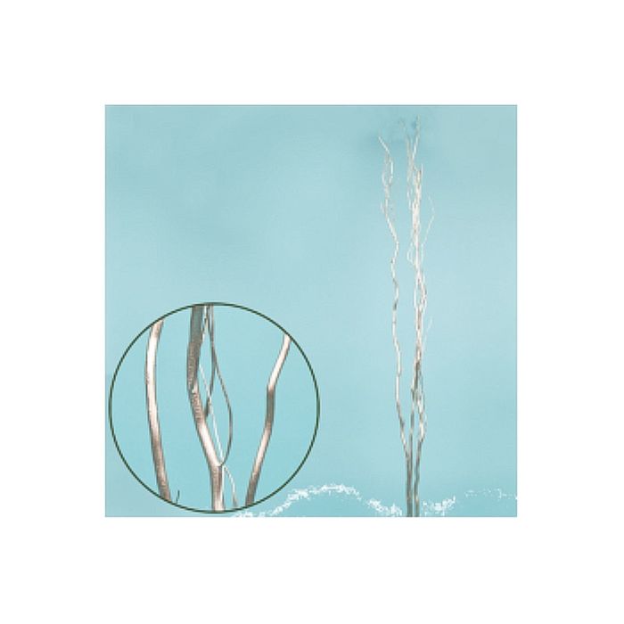 Ветки декоративные, корелис, серебряный 1.5 м,набор 3 шт