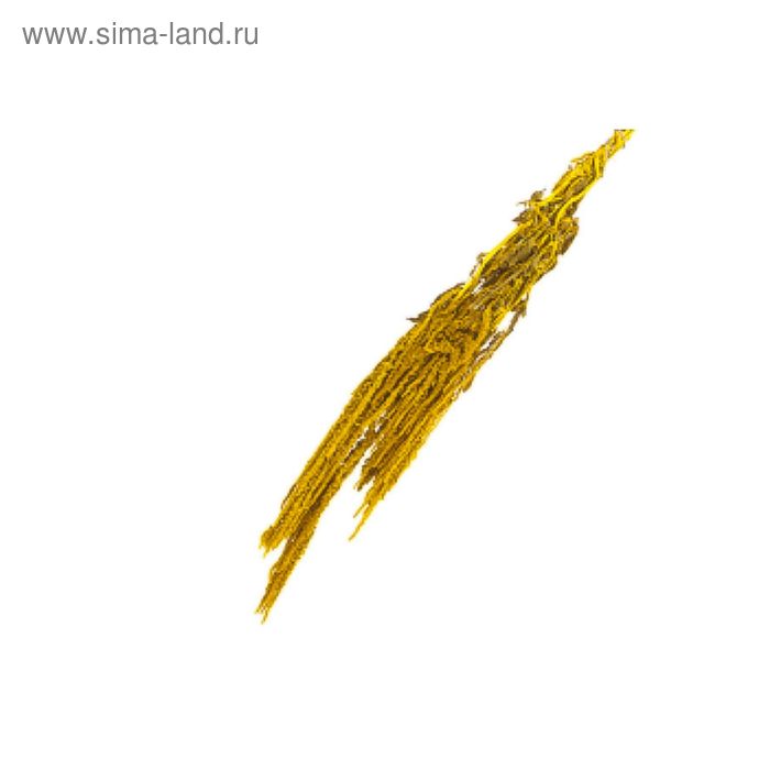 Засушенные цветы, амарант, жёлтый 200 г