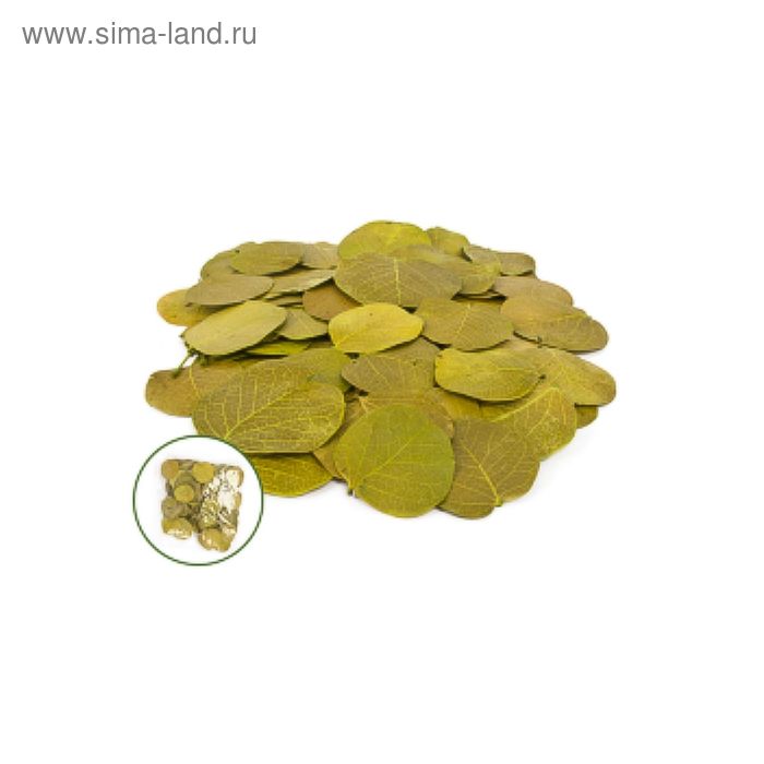 Листья монетка, зелёный 50 г