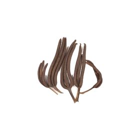 

Пальм мейл, набор 5 шт