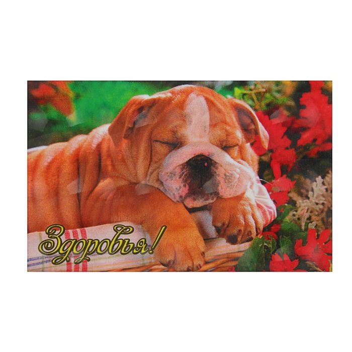 Магнит "Собаки"