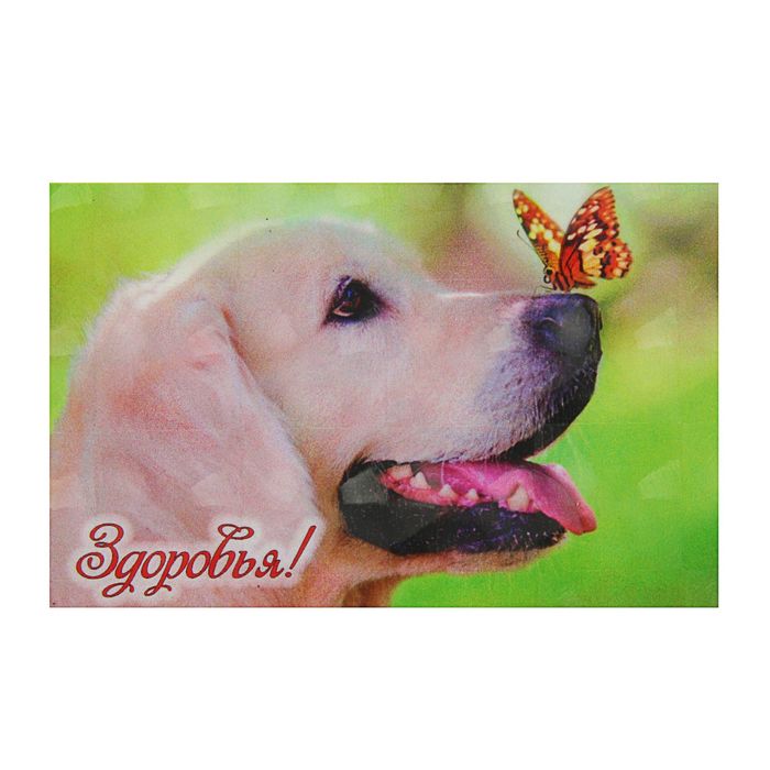 Магнит "Собаки"