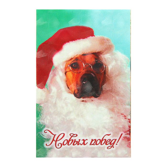 Магнит "Собаки"