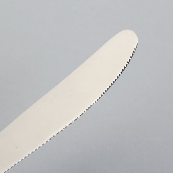 Нож столовый 21,5 см "Волна. Общепит"