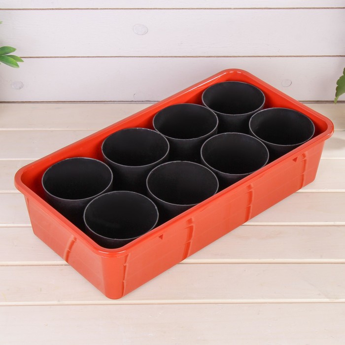 Набор для рассады: стаканы - 8 шт. по 400 мл, поддон 40 х 20 см, чёрно-коричневый